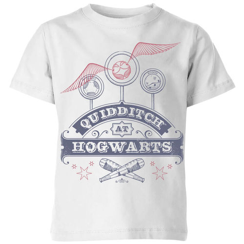 Harry Potter Quidditch At...