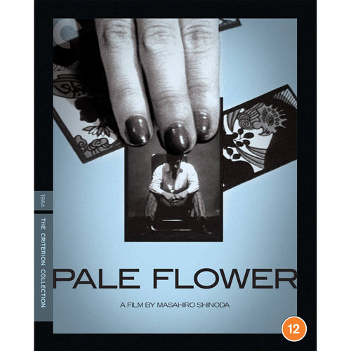 Pale Flower - The Criterion...