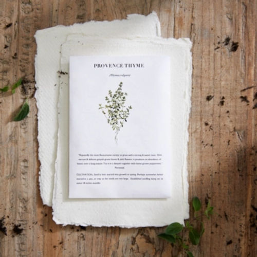 Seed Pack - Provence Thyme