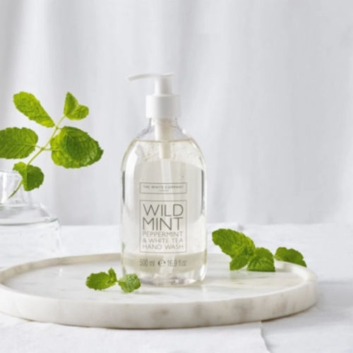 Wild Mint Hand Wash, No...