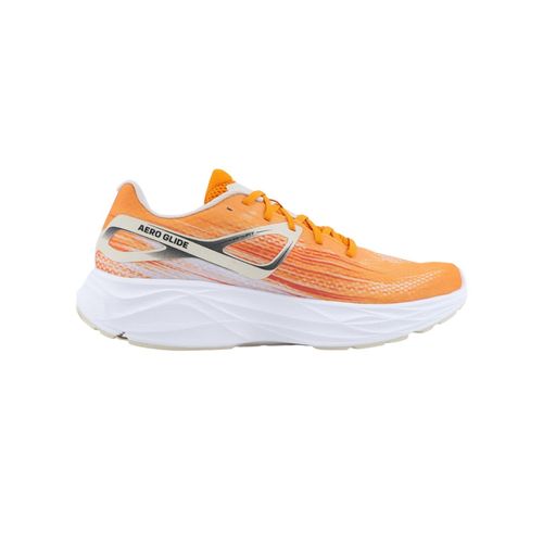 Schuhe Salomon Aero Glide...