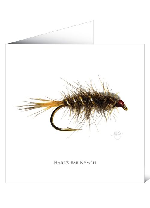 Mayfly Art Greetings Card -...