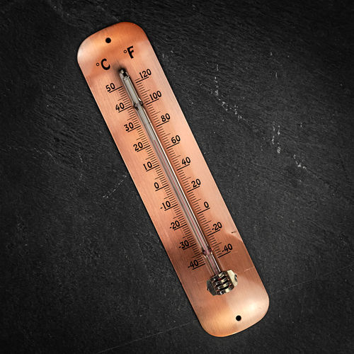 Fallen Fruits Thermometer...