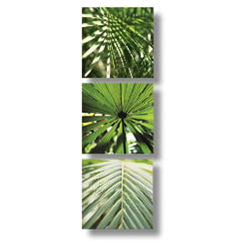 Tropical Leaves Wall Art