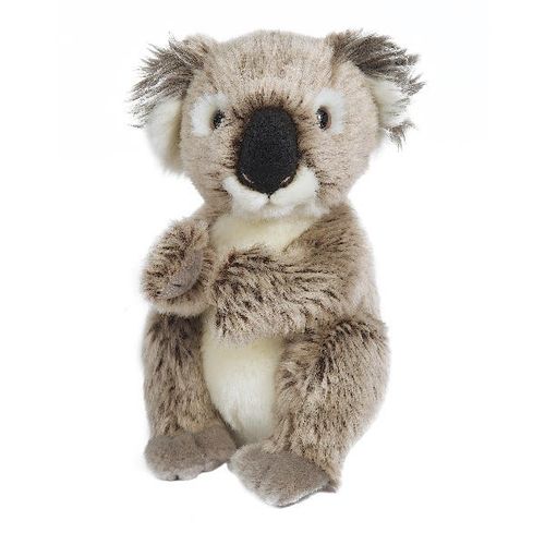 Hamleys® Baby Kady Koala Soft...