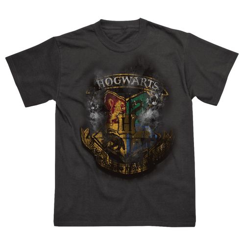 Harry Potter Distressed...