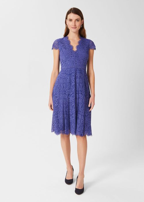 Hobbs Women's Anastasia Lace Fit And Flare Dress - Blue