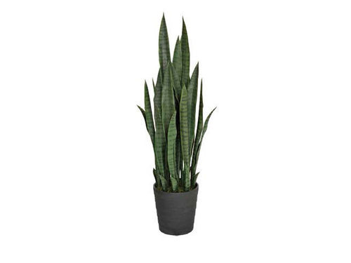 Kunstpflanzen Sansevieria...
