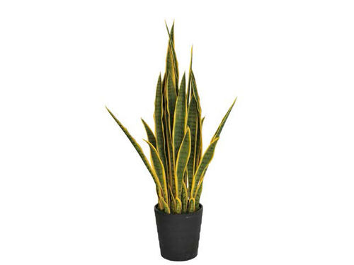 Kunstpflanzen Sansevieria...