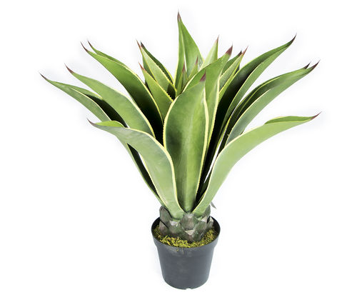 Kunstpflanzen Agave 96cm
