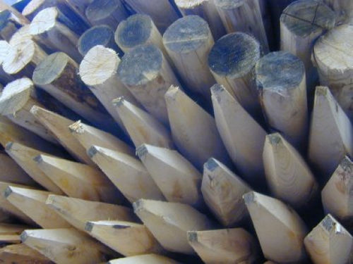 Kastanienpfähle Kastanienholz...