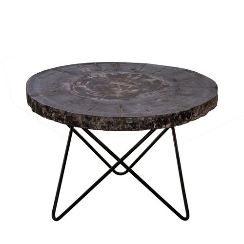 Casa Petrified Coffee Table