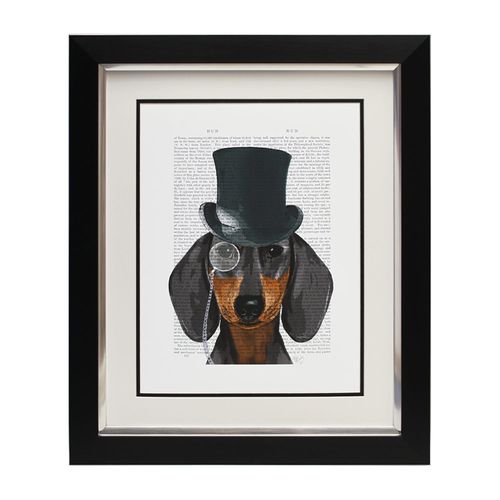 Complete Colour Dachshund,...