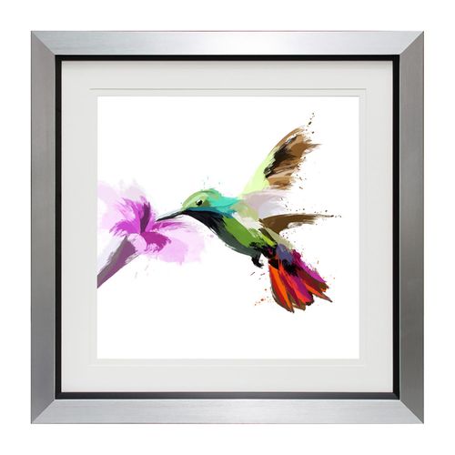 Complete Colour Hummingbird,...