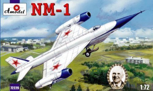 NM-1