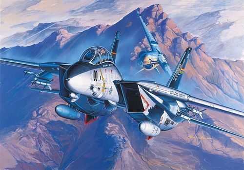F-14A Tomcat