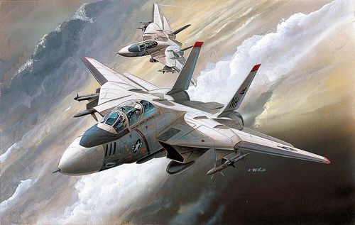 F-14 Tomcat
