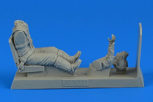 German Luftwaffe Pilot...