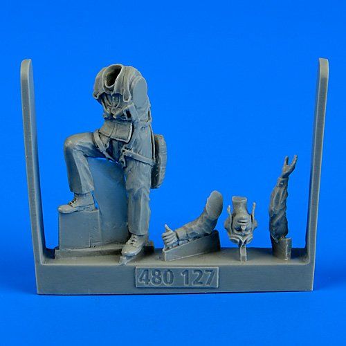 US Navy Pilot WWII-Pacific...