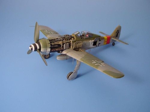 Focke-Wulf Fw 190 D-9 - -...