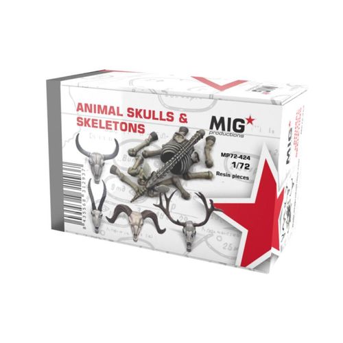ANIMAL SKULLS & SKELETONS