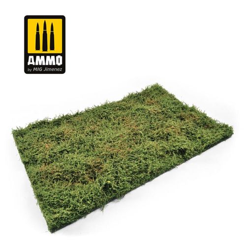 Wilderness Fields with Bushes...