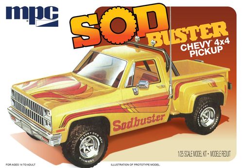 1981 Chevy Stepside Pickup...