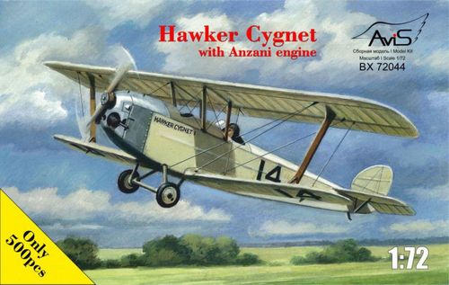 Hawker Cygnet with Anzani...