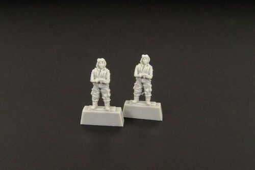 Japanese pilot WWII -(two...