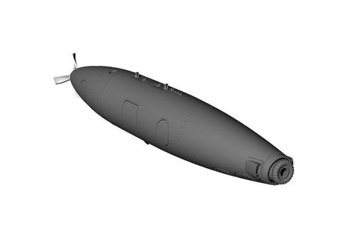 D-704 buddy Tank late type...