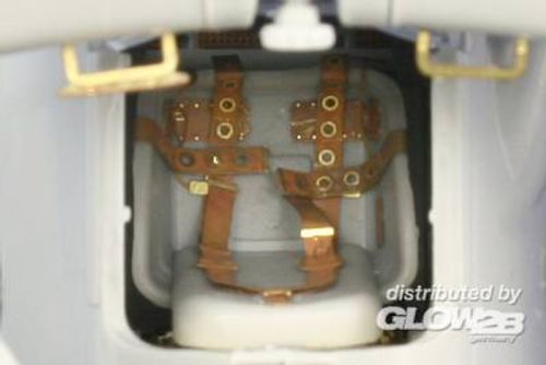 Swordfish - Seatbelts...