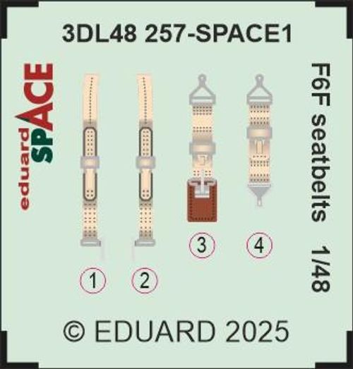 F6F - Seatbelts - Space