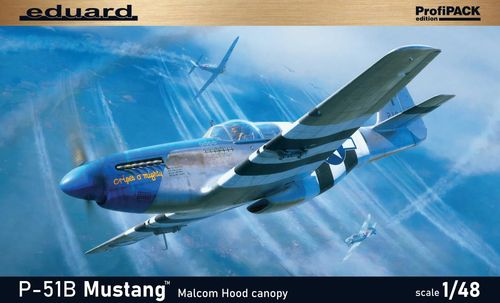 P-51B Mustang - Malcolm Hood...