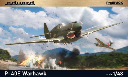 P-40E Warhawk - Profipack
