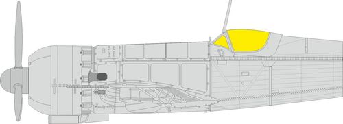 IAR-81C [IBG]