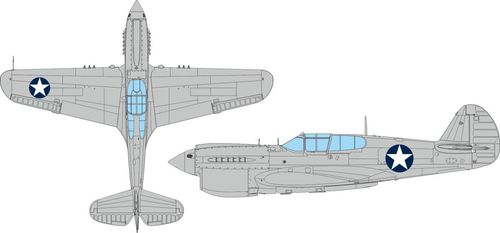P-40E - US national insignia...