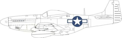 P-51D - National insignia...