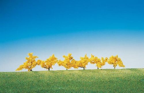 6 Forsythien, gelb blühend