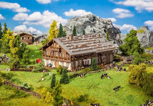 Großer Alpenhof mit Scheune