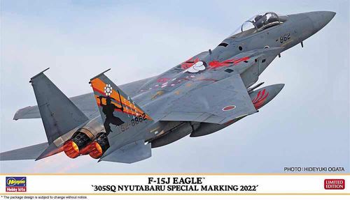 F-15J Eagle, 305SQ Nyutabaru...