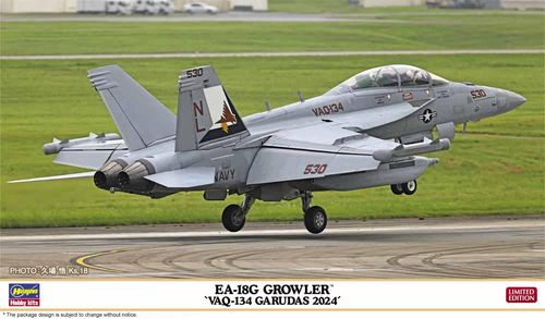 EA-18G Growler VAQ-134...