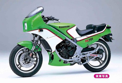 Kawasaki KR250