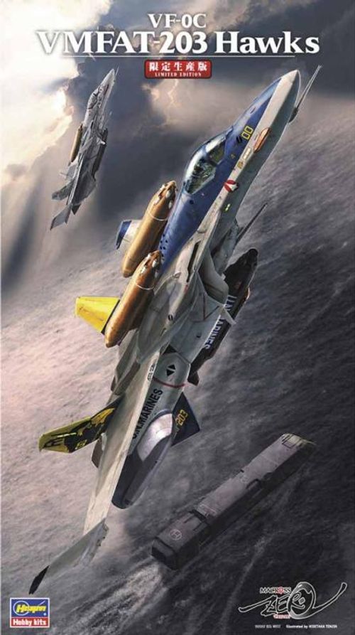 VF-0C VMFAT-203 Hawks