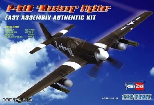 P-51B ´Mustang´ Fighter
