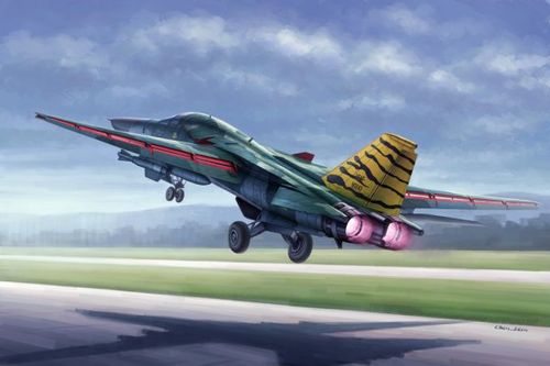 FB-111 Aardvark