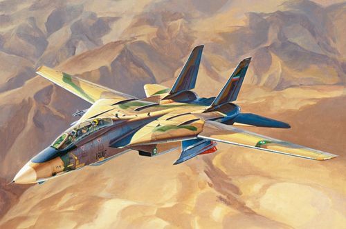 Persian Cat F-14A Tomcat -...