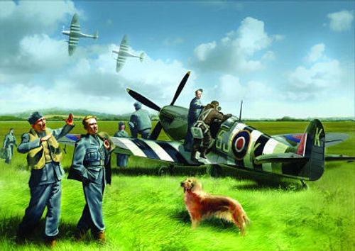 Spitfire Mk.IX with RAF...