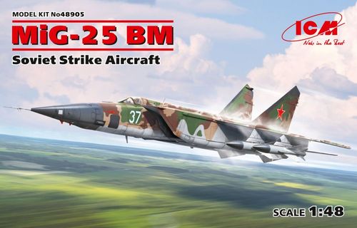 MiG-25 BM - Soviet Strike...