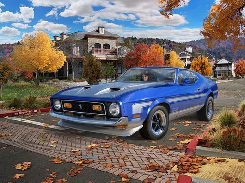 71 Mustang Boss 351