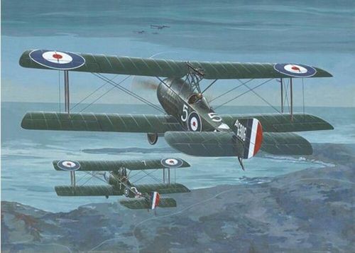 Sopwith 1 1/2 Strutter Comic...